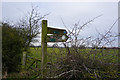 Fingerpost at Scallymoor Farm