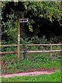 Bridleway to Blakeshall in Worcestershire