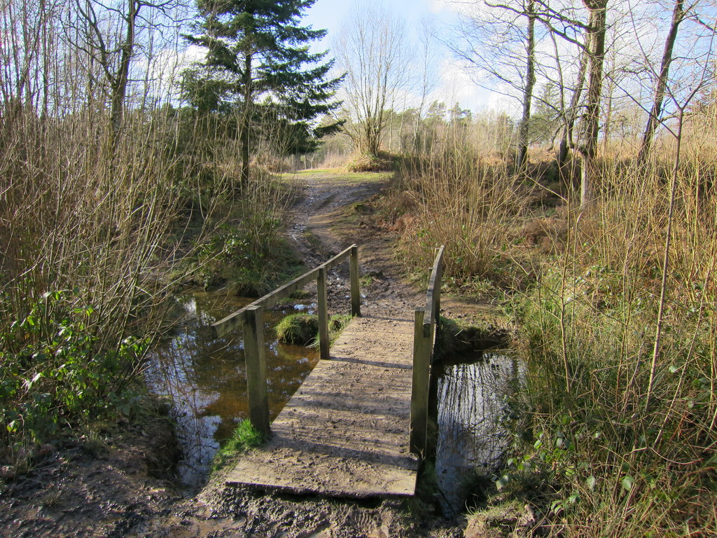 Bridge in Brede High Wood © Oast House Archive :: Geograph Britain and ...