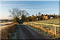 Track on Wheat Common