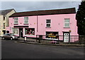 Pink House Party Shop, Chepstow