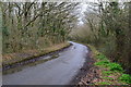 Tree-lined lane near Fleetlands Copse