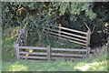 Footpath enters woodland