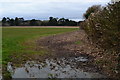 SZ4089 : Waterlogged field entrance west of Shalfleet by David Martin