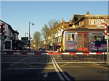 SX8860 : Torbay Road level crossing by Steve Daniels