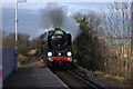 Steam special at Nunhead