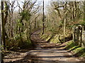 Junction on Castle Farm Road