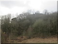 SO4069 : Wigmore Castle Landscape by Fabian Musto