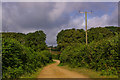 Track to Great Briddlesford Farm