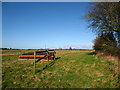 Point-to point jumps in a field near Whitegate Farm