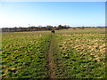 Footpath on The Baker Way through a field near Ashton