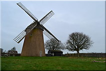 SZ6387 : Bembridge Windmill by David Martin