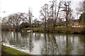 Desborough Island in the Thames at Weybridge