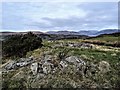 NS0666 : Dun Burgidale - Isle of Bute by Raibeart MacAoidh