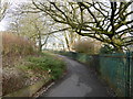 Path beside the Lyme Brook