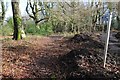 Bridleway in Preston