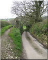 Lane to Blackawton from Cotterbury Cross, and a field access