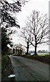 Looking South Down Horsecroft Road