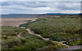 Dunes at Coatham Sands