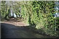 Bridleway near Holmwood Farm