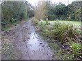 Bridleway leading to Oaklands Lane