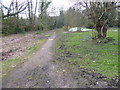 Bridleway seen from Galley Lane