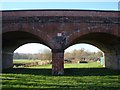 Blandford viaduct, River Stour floodplain