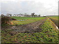 Farm track to Leyfields