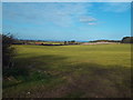 TG0542 : Field near Cley-next-the-Sea by Malc McDonald
