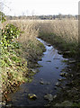 Stream near Keynsham Manor