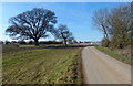 Lubbesthorpe Bridle Road at New Lubbesthorpe