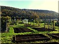 Tudorville allotments, 1