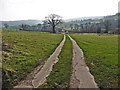 Track in the Coly Valley