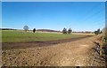 Farmland and Footpath near Pyrford Green