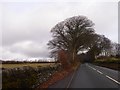 B3223 approaching Winstitchen Cross