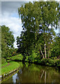 Canal near Caunsall in Worcestershire