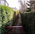 Footpath between hedges, Penyffordd, Flintshire