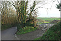 Lane near Trehannick