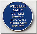 Leamington Spa: Blue Plaque - 3  Willes Road