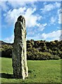 Standing Stone - Broomfields, Largs