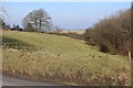 Roadside pasture below Pant-y-pedyll