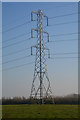 Sedgemoor : Grassy Field & Pylon