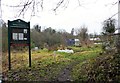 Wickham Hill Allotments