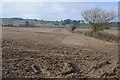 Farmland and Bank Farm