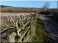 Burroughs Road towards Ratby