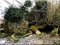 H4074 : Cottage ruins, Mullagharn by Kenneth  Allen