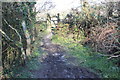 Gate on Wales Coastal Path