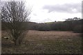 Wetland, Llan-bwch-llyn