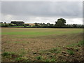 View towards Sandford Orcas