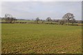 Herefordshire farmland